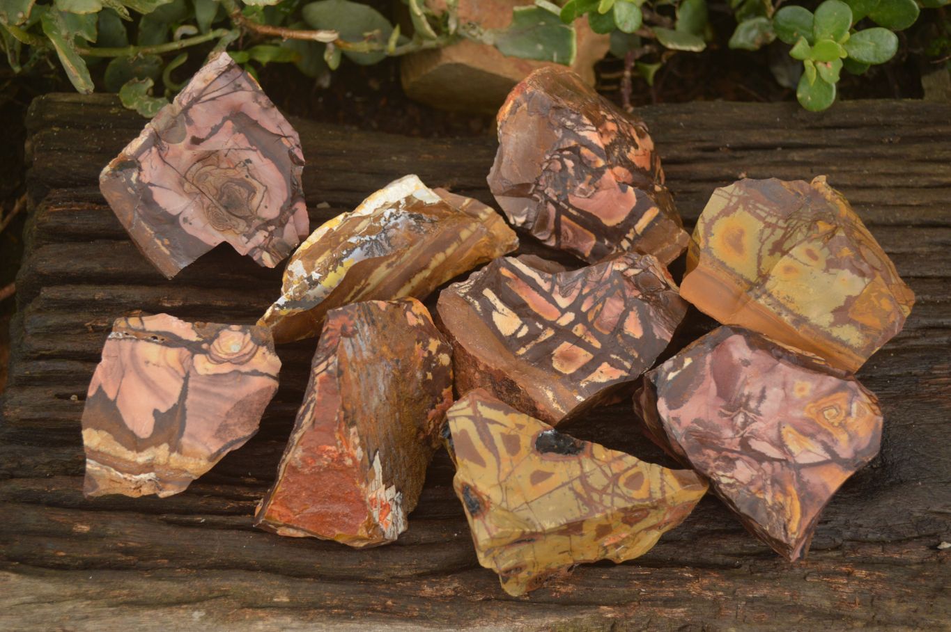 Natural Rough Nguni Jasper Cobbed Specimens  x 12 From Southern Africa - Toprock Gemstones and Minerals 