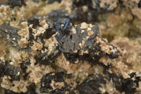 Natural Extra Large Schorl Tourmaline  With Vermiculite Specimens x 2 From Erongo, Namibia - Toprock Gemstones and Minerals 