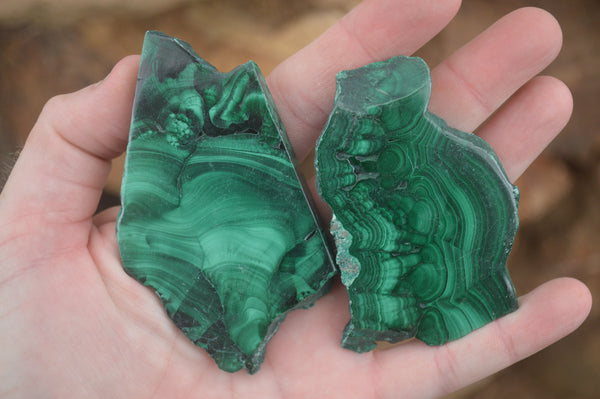 Polished Malachite Slices With Stunning Flower & Banding Patterns  x 12 From Congo - TopRock