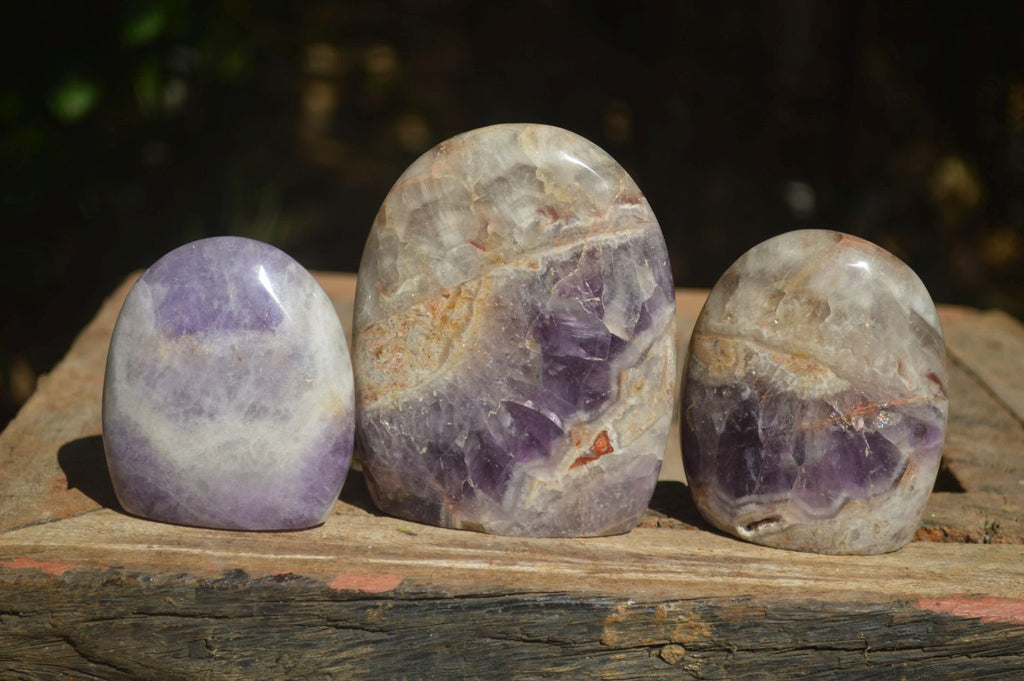 Polished Dream Amethyst Standing Free Forms  x 3 From Madagascar - Toprock Gemstones and Minerals 