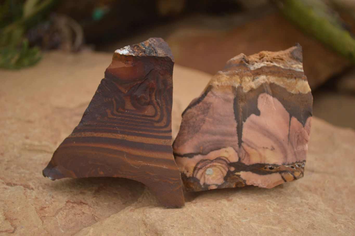 Natural Rough Nguni Jasper Cobbed Specimens  x 12 From Southern Africa - Toprock Gemstones and Minerals 