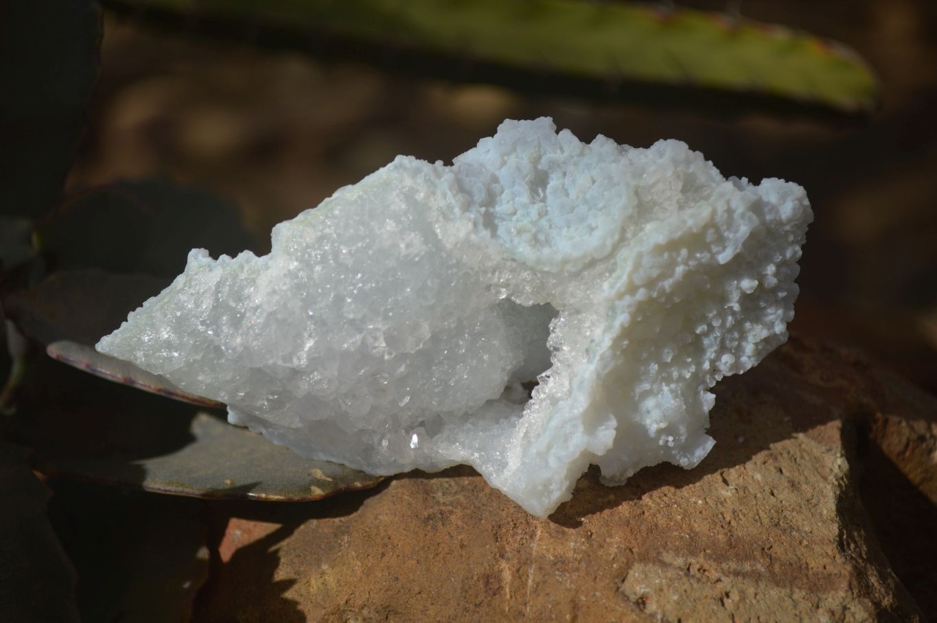 Natural Etched Blue Chalcedony Specimens  x 12 From Nsanje, Malawi - Toprock Gemstones and Minerals 