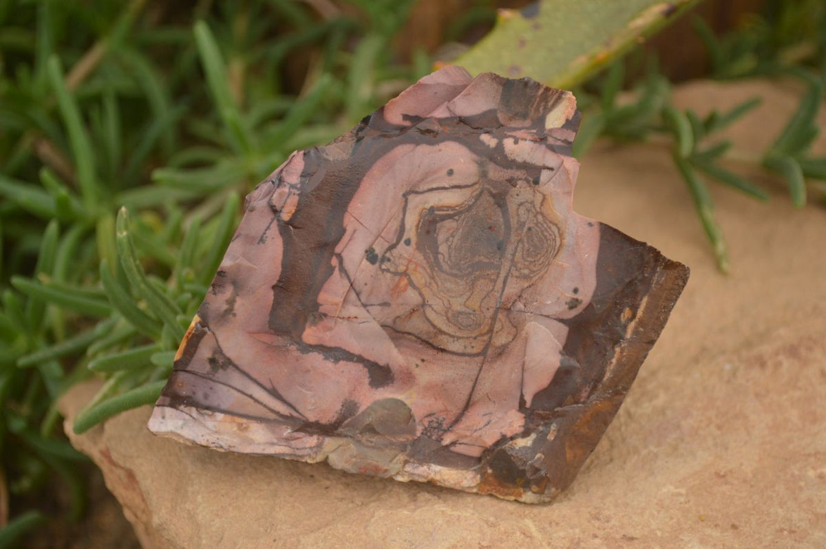Natural Rough Nguni Jasper Cobbed Specimens  x 12 From Southern Africa - Toprock Gemstones and Minerals 