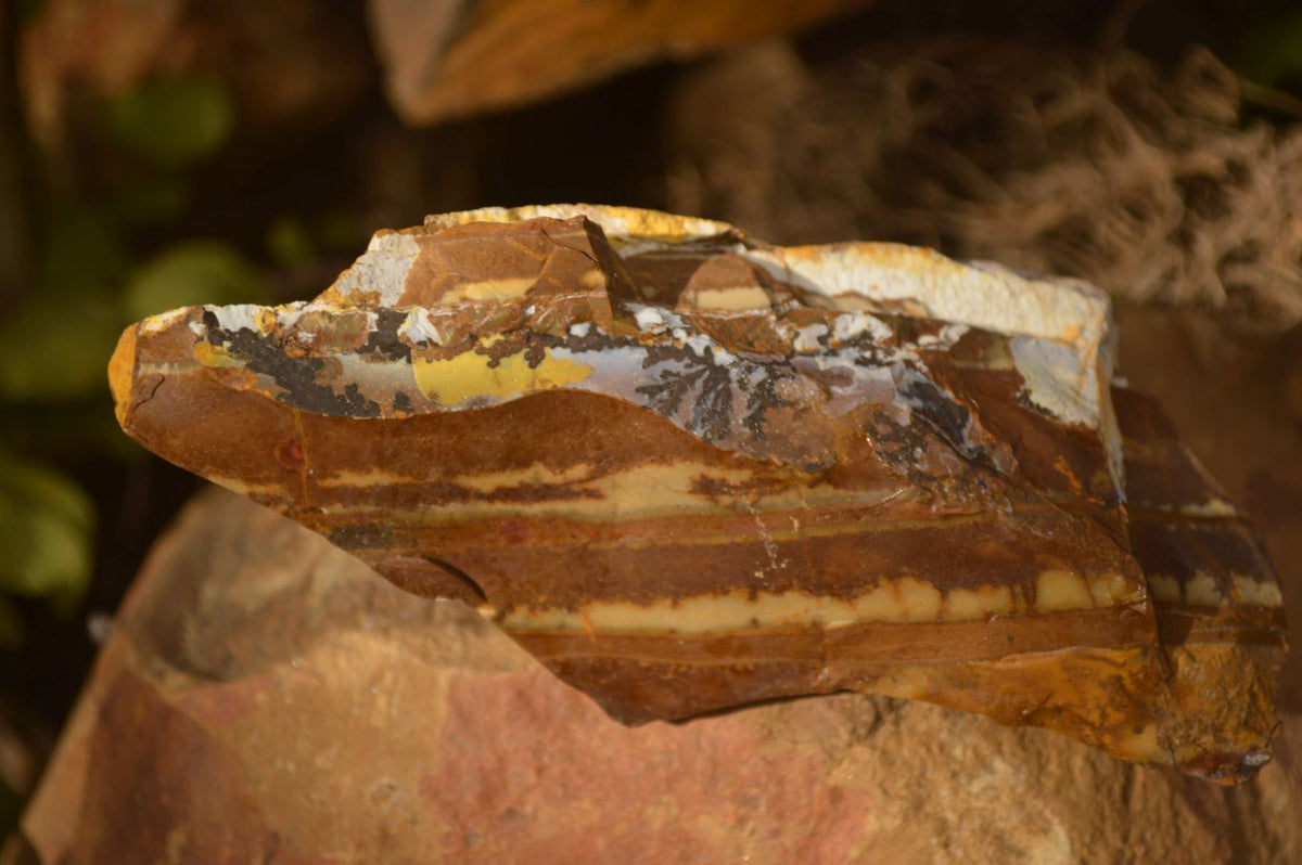 Natural Rough Nguni Jasper Cobbed Specimens  x 12 From Southern Africa - Toprock Gemstones and Minerals 