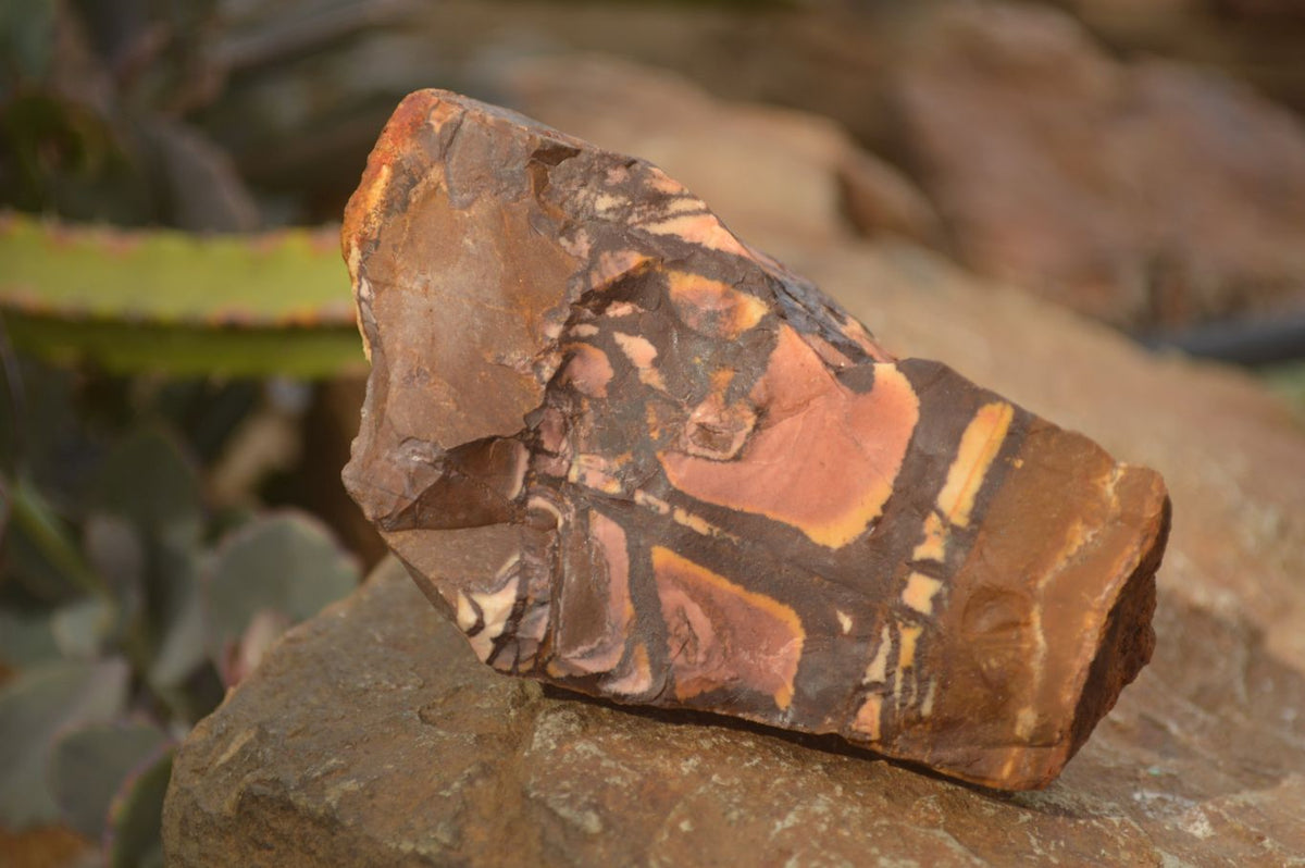 Natural Rough Nguni Jasper Cobbed Specimens  x 12 From Southern Africa - Toprock Gemstones and Minerals 