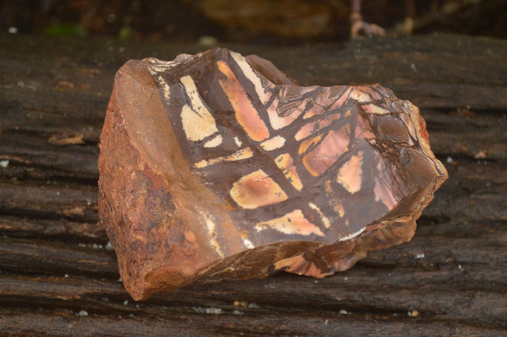 Natural Rough Nguni Jasper Cobbed Specimens  x 12 From Southern Africa - Toprock Gemstones and Minerals 