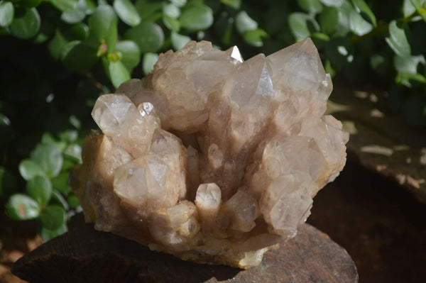 Natural Cascading White Phantom Smokey Quartz Clusters  x 2 From Luena, Congo - Toprock Gemstones and Minerals 