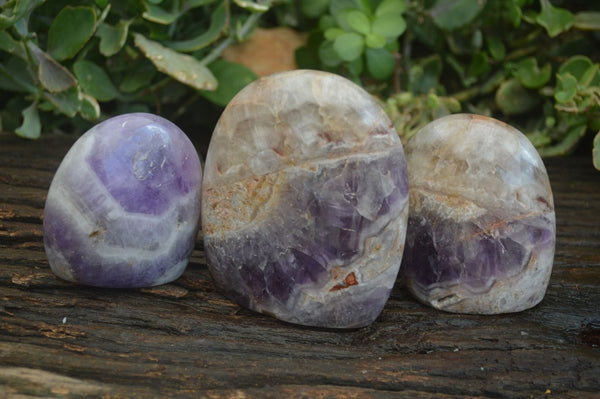 Polished Dream Amethyst Standing Free Forms  x 3 From Madagascar