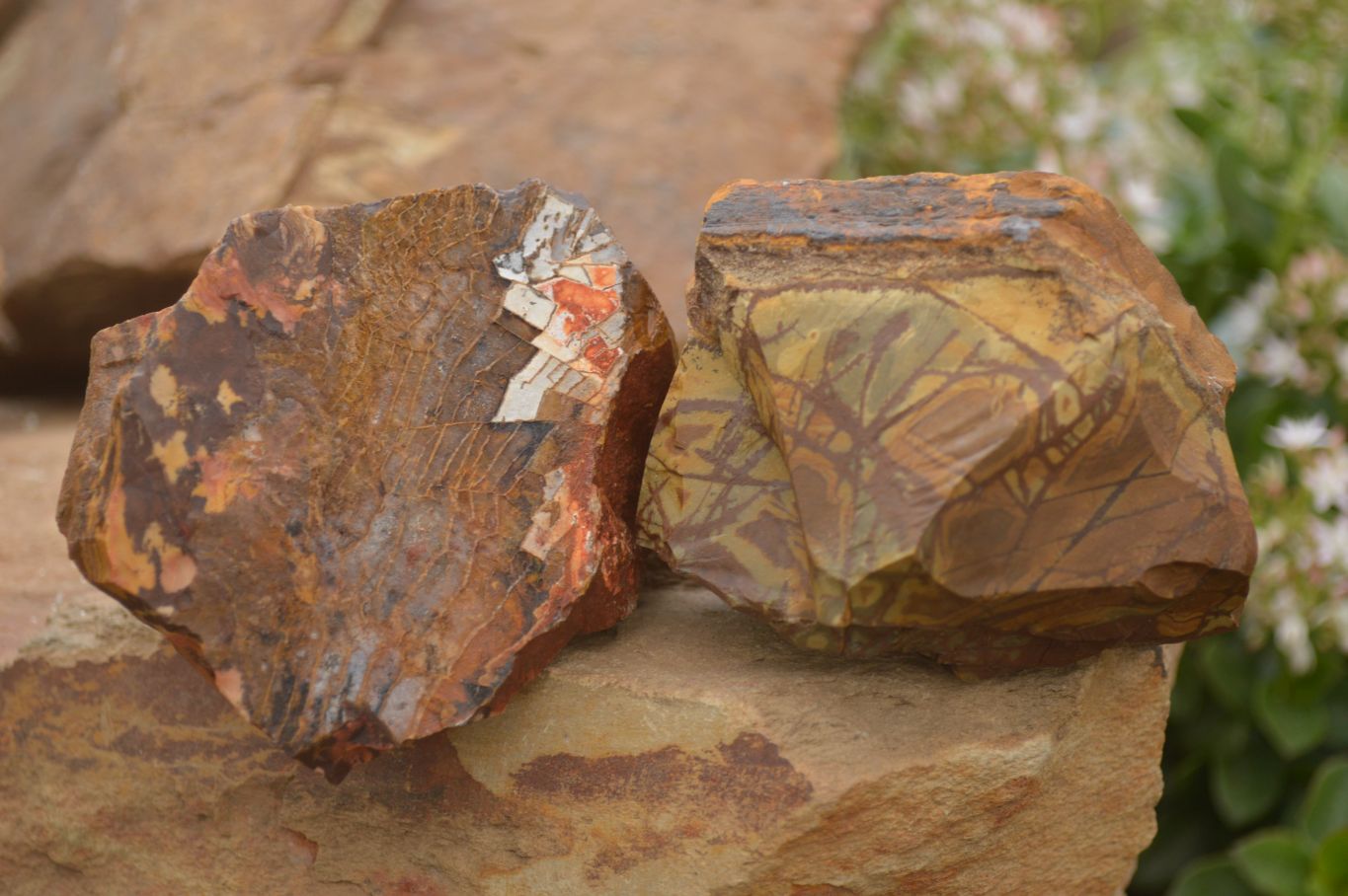 Natural Rough Nguni Jasper Cobbed Specimens  x 12 From Southern Africa - Toprock Gemstones and Minerals 