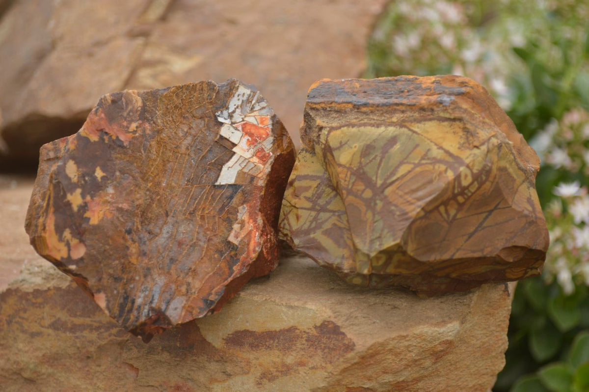 Natural Rough Nguni Jasper Cobbed Specimens  x 12 From Southern Africa - Toprock Gemstones and Minerals 