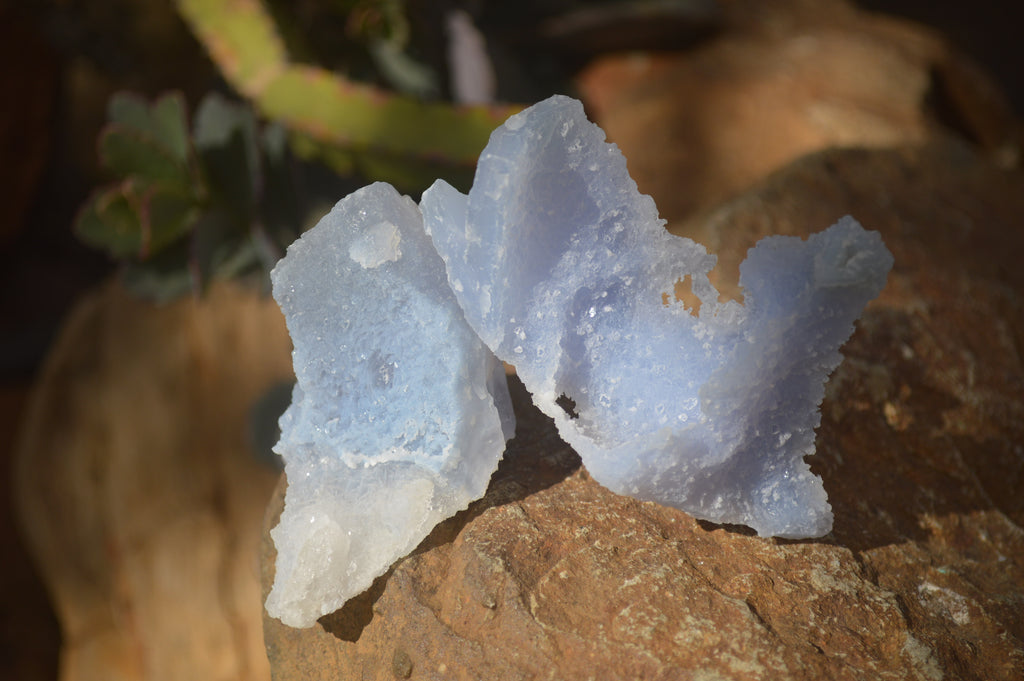 Natural Etched Blue Chalcedony Specimens  x 12 From Nsanje, Malawi - Toprock Gemstones and Minerals 