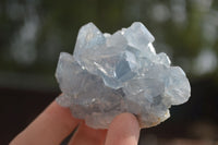 Natural Blue Celestite Crystal Specimens  x 4 From Sakoany, Madagascar - Toprock Gemstones and Minerals 