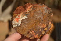 Natural Rough Nguni Jasper Cobbed Specimens  x 12 From Southern Africa - Toprock Gemstones and Minerals 