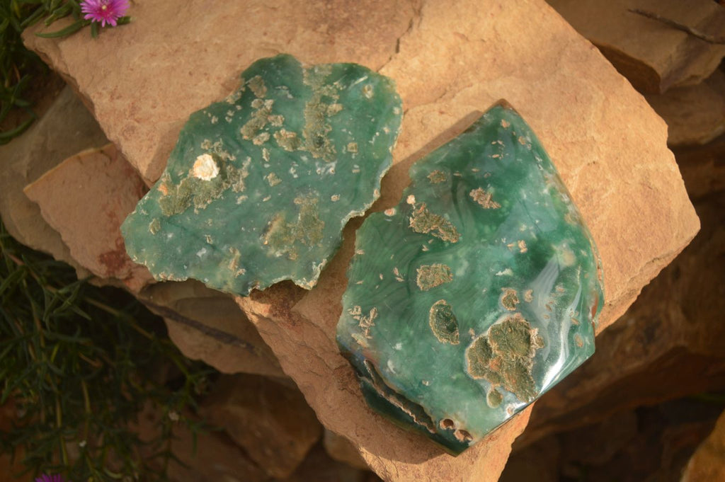 Polished On One Side Emerald Mtorolite Plates x 2 From Mutorashanga, Zimbabwe - Toprock Gemstones and Minerals 