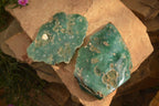 Polished On One Side Emerald Mtorolite Plates x 2 From Mutorashanga, Zimbabwe - Toprock Gemstones and Minerals 