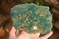 Polished On One Side Emerald Mtorolite Plates x 2 From Mutorashanga, Zimbabwe - Toprock Gemstones and Minerals 