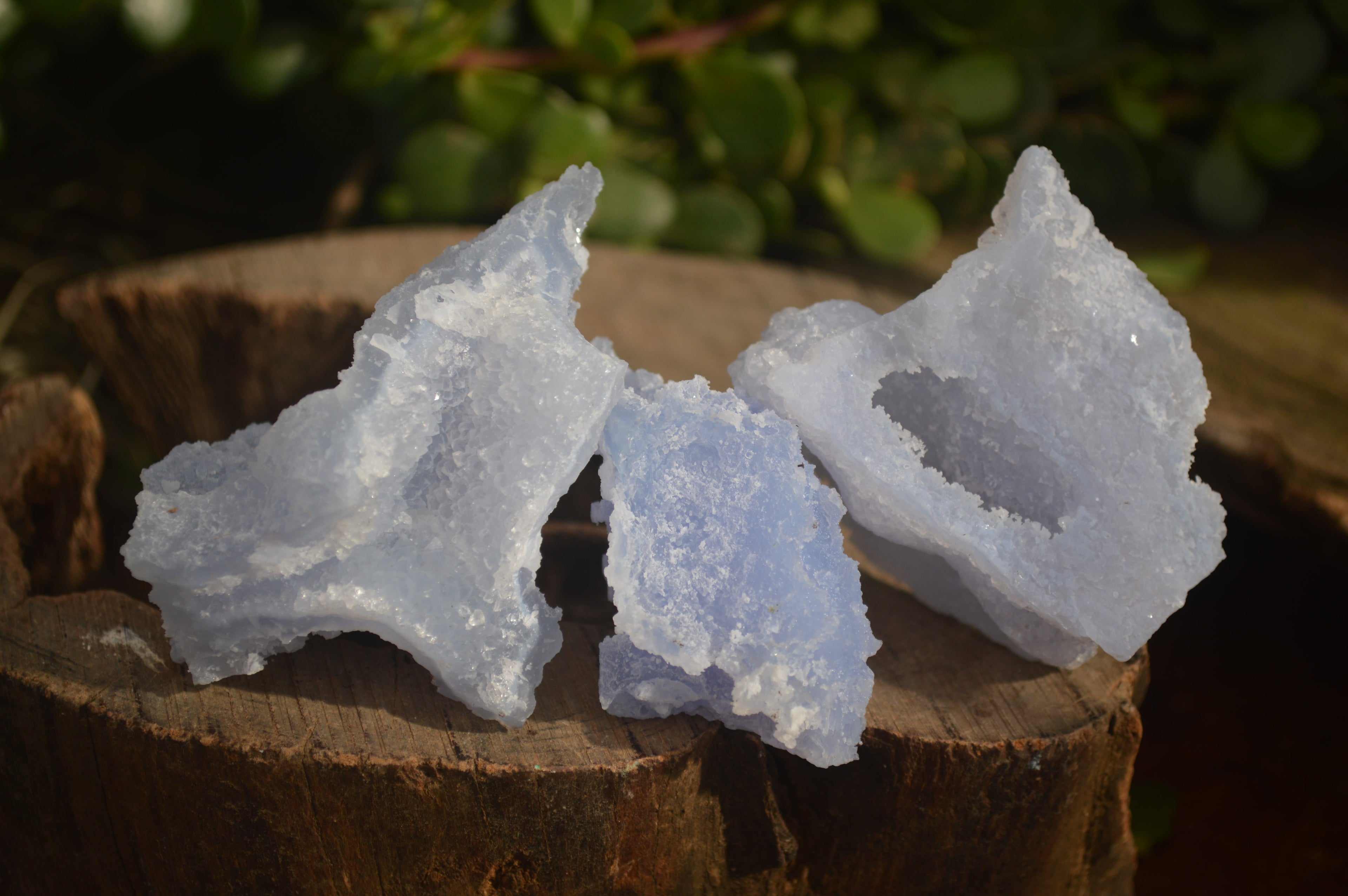 Natural Etched Blue Chalcedony Specimens  x 12 From Nsanje, Malawi - Toprock Gemstones and Minerals 
