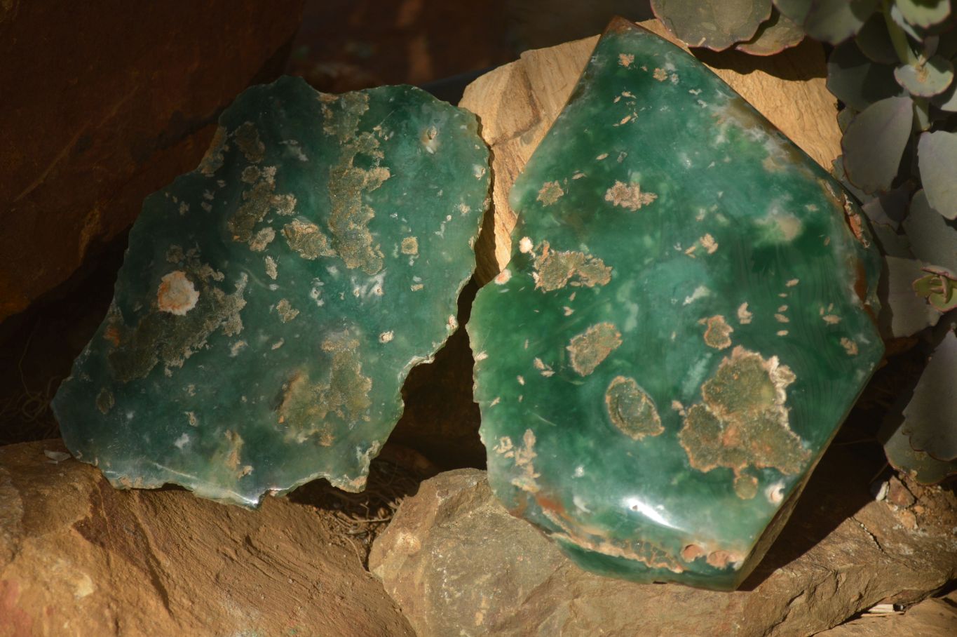 Polished On One Side Emerald Mtorolite Plates x 2 From Mutorashanga, Zimbabwe - Toprock Gemstones and Minerals 