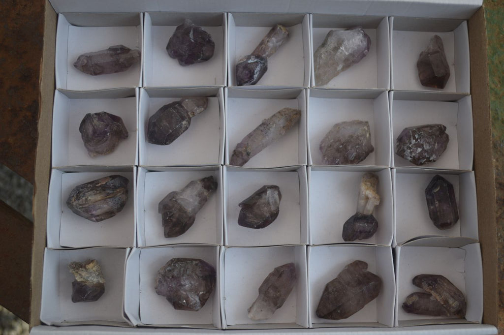 Natural Single Amethyst Window Quartz Crystals  x 21 From Chiredzi, Zimbabwe - Toprock Gemstones and Minerals 