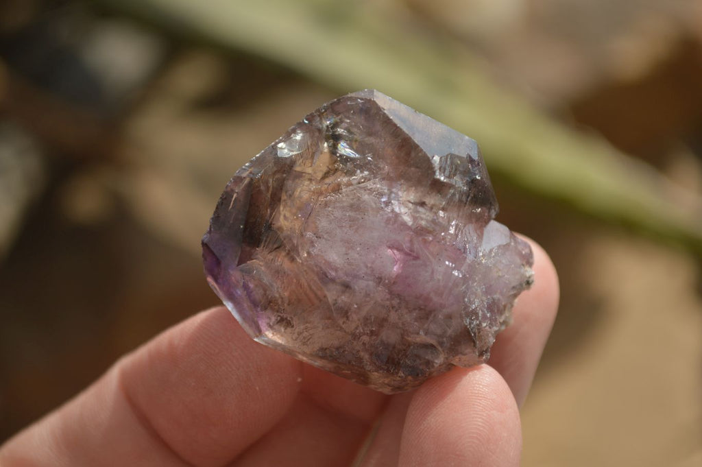 Natural Single Amethyst Window Quartz Crystals  x 21 From Chiredzi, Zimbabwe - Toprock Gemstones and Minerals 