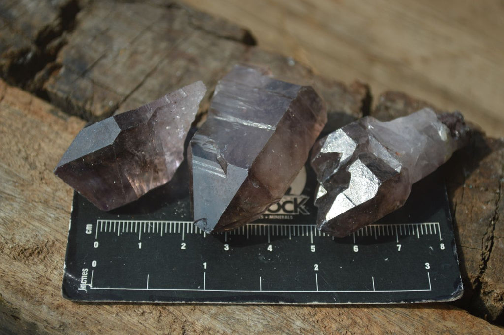 Natural Single Amethyst Window Quartz Crystals  x 21 From Chiredzi, Zimbabwe - Toprock Gemstones and Minerals 