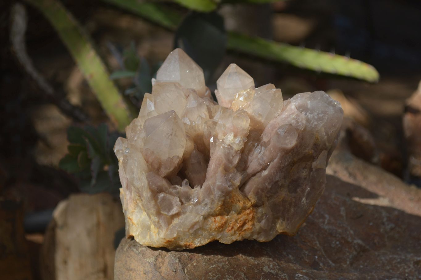 Natural Cascading Smokey Quartz Cluster x 1 From Luena, Congo - Toprock Gemstones and Minerals 