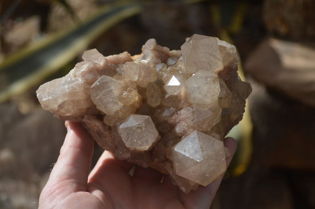 Natural Cascading Smokey Quartz Cluster x 1 From Luena, Congo - Toprock Gemstones and Minerals 