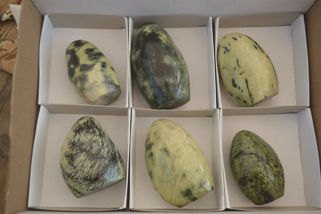 Polished  Leopard Stone Standing Free Forms  x 6 From Inyanga, Zimbabwe - Toprock Gemstones and Minerals 