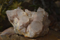 Natural Cascading Smokey Quartz Cluster x 1 From Luena, Congo - Toprock Gemstones and Minerals 