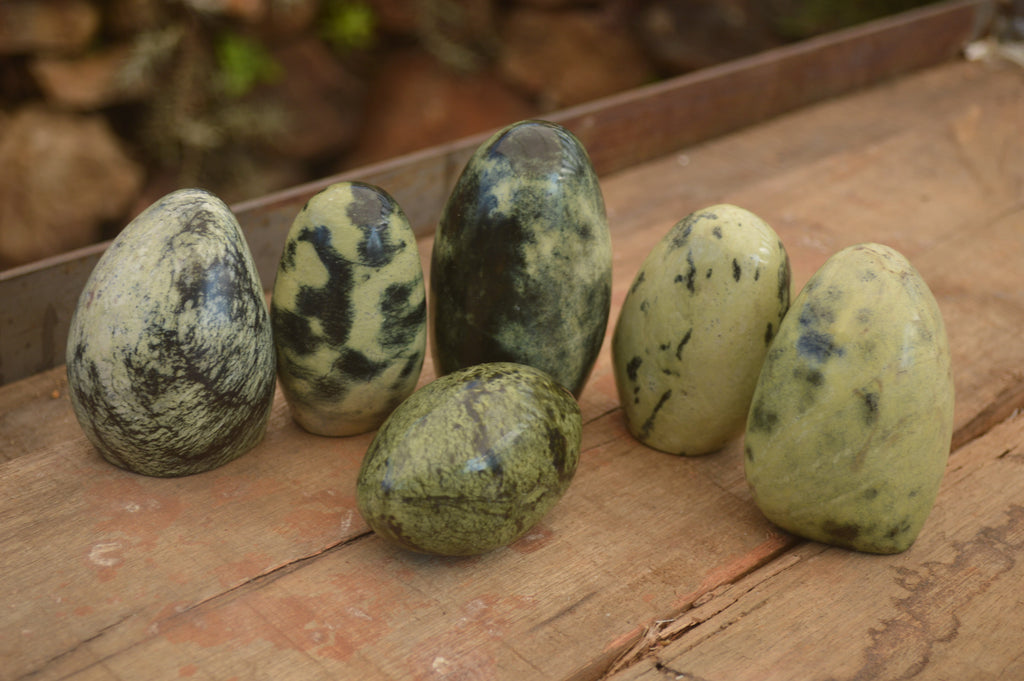 Polished  Leopard Stone Standing Free Forms  x 6 From Inyanga, Zimbabwe - Toprock Gemstones and Minerals 