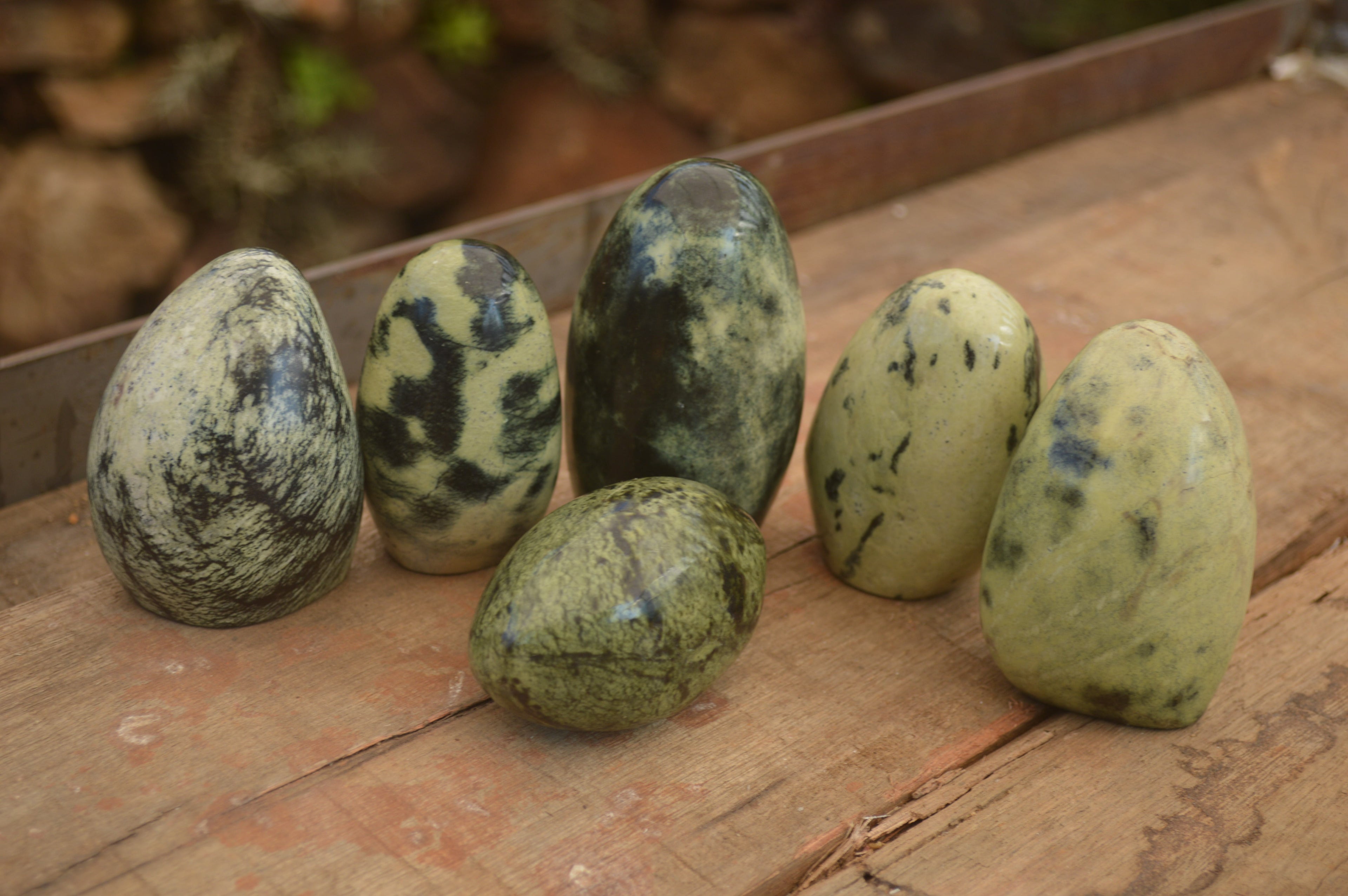 Polished  Leopard Stone Standing Free Forms  x 6 From Inyanga, Zimbabwe - Toprock Gemstones and Minerals 