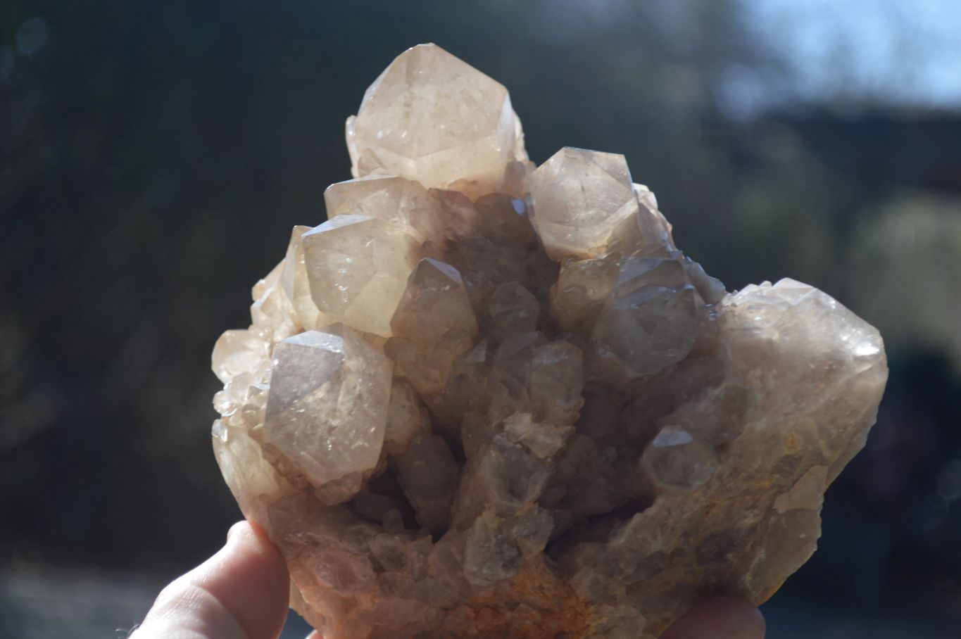 Natural Cascading Smokey Quartz Cluster x 1 From Luena, Congo - Toprock Gemstones and Minerals 