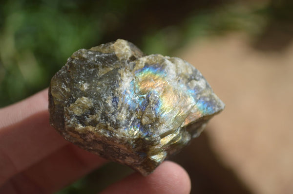 Natural Rough Labradorite Cobbed Specimens  x 35 From Tulear, Madagascar - Toprock Gemstones and Minerals 