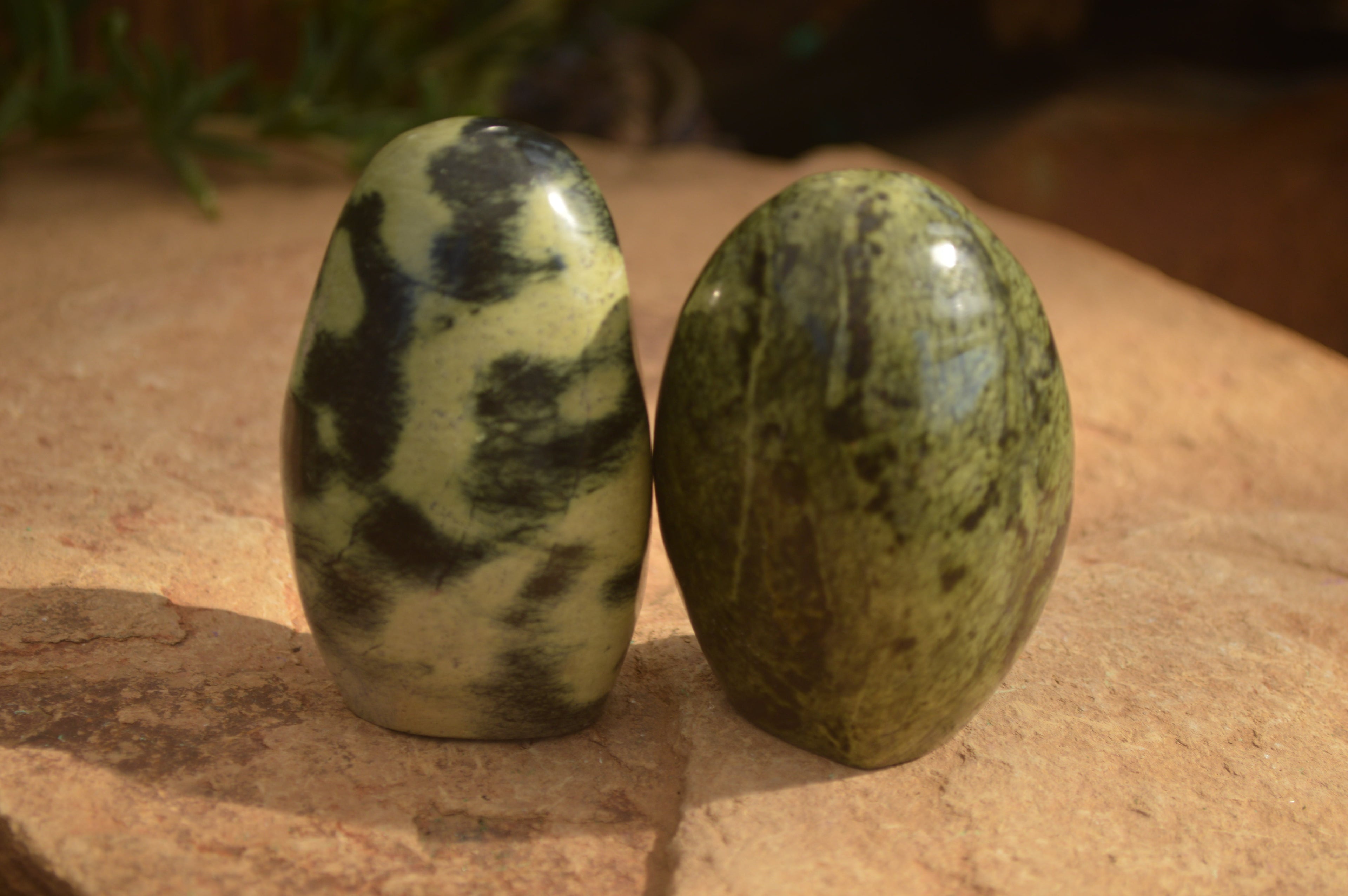 Polished  Leopard Stone Standing Free Forms  x 6 From Inyanga, Zimbabwe - Toprock Gemstones and Minerals 