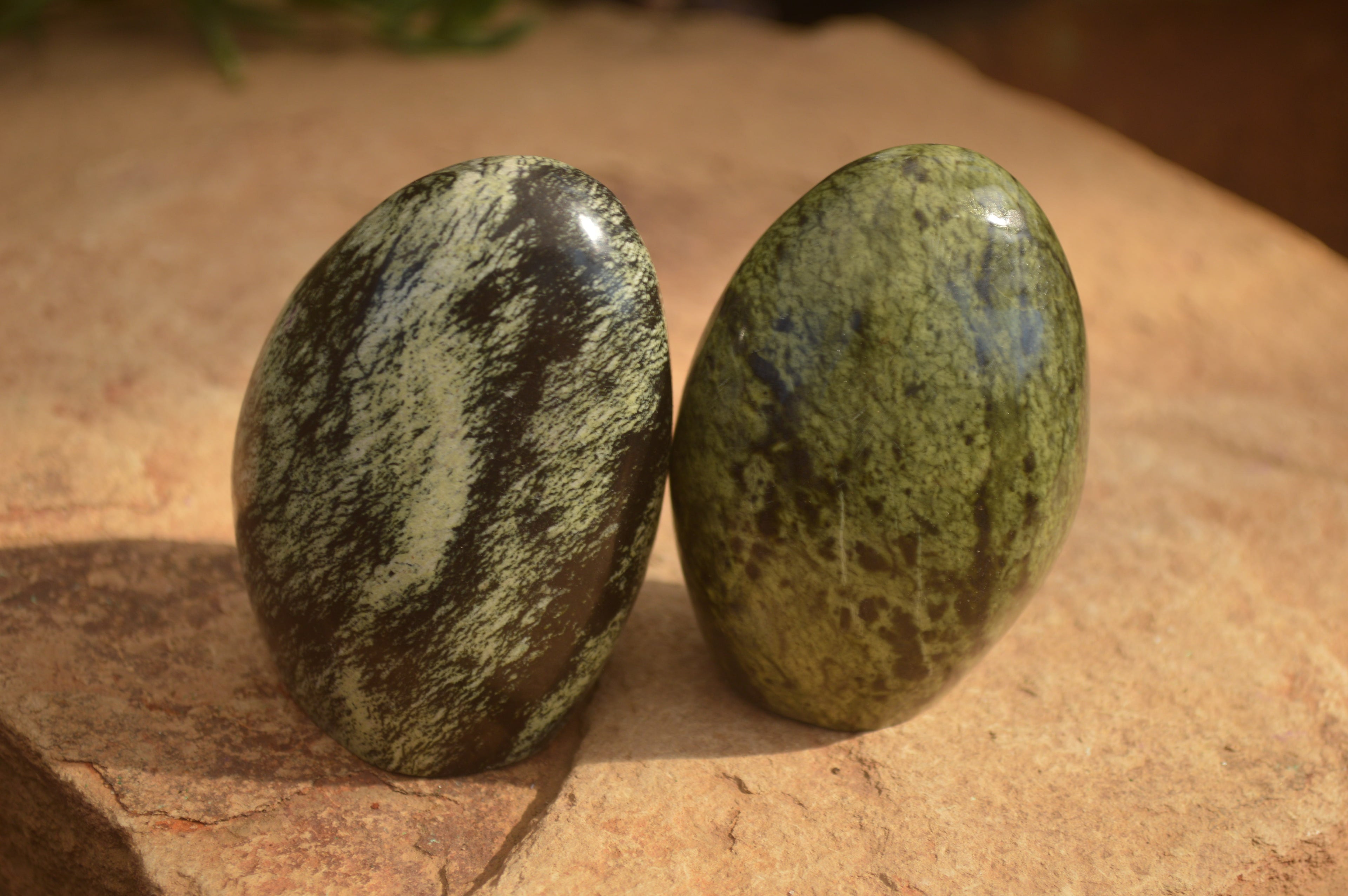 Polished  Leopard Stone Standing Free Forms  x 6 From Inyanga, Zimbabwe - Toprock Gemstones and Minerals 