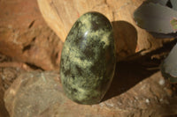 Polished  Leopard Stone Standing Free Forms  x 6 From Inyanga, Zimbabwe - Toprock Gemstones and Minerals 