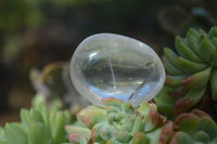 Polished Small Semi Optic Clear Quartz Galet / Palm Stones x 35 From Madagascar - Toprock Gemstones and Minerals 