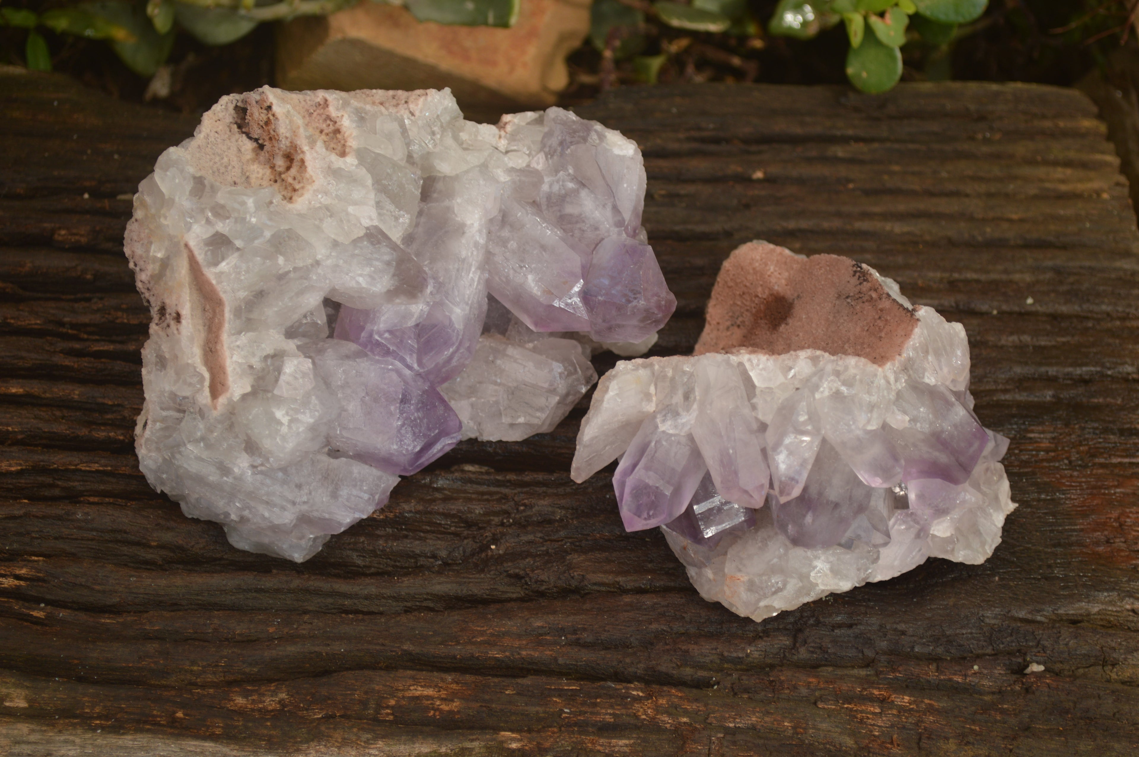 Natural Jacaranda Amethyst Clusters x 2 From Zambia - Toprock Gemstones and Minerals 
