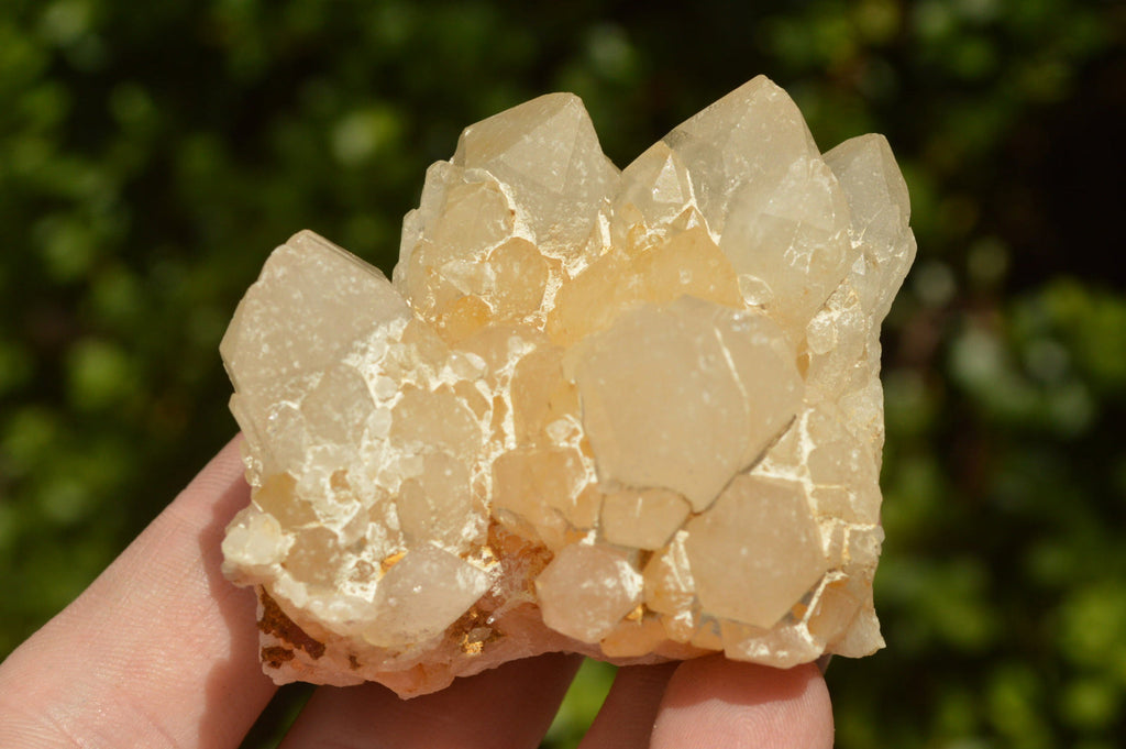 Natural Quartz Clusters With Green Epidote Coating/Inclusions x 12 From Boekenhouthoek, South Africa - TopRock