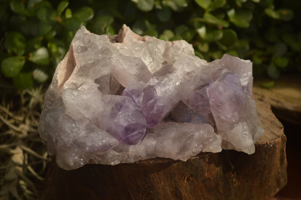 Natural Jacaranda Amethyst Clusters x 2 From Zambia - Toprock Gemstones and Minerals 