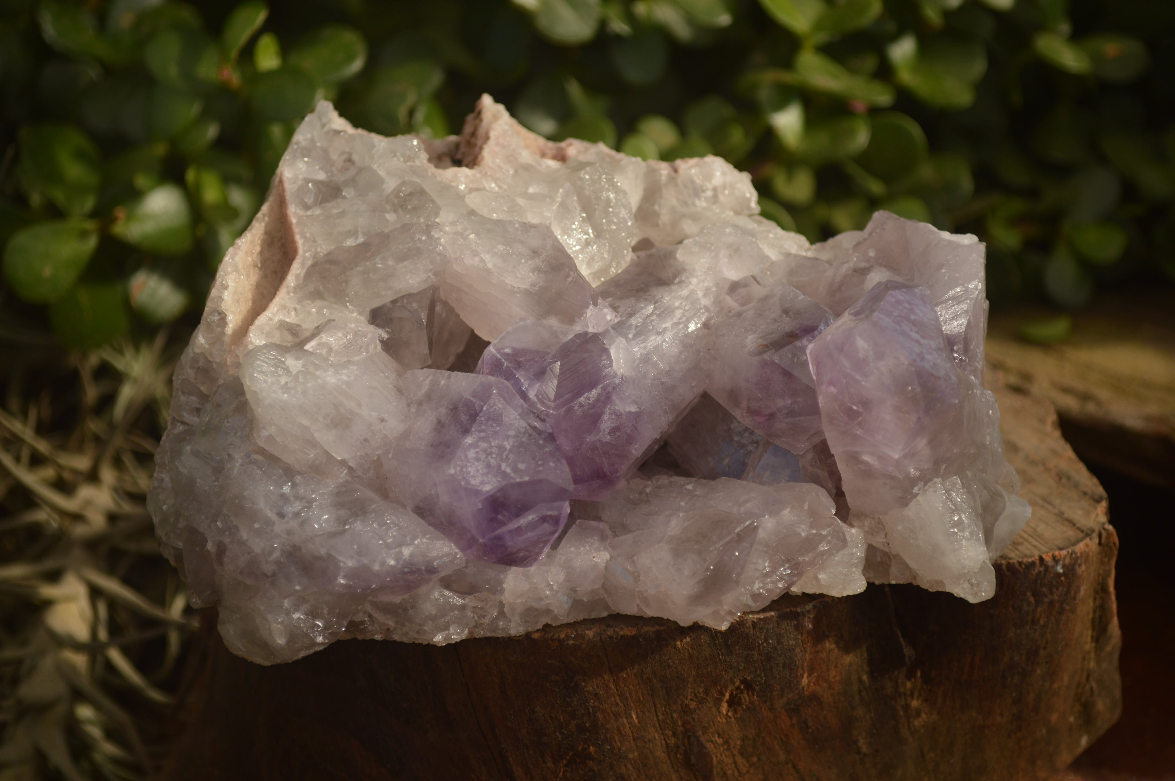 Natural Jacaranda Amethyst Clusters x 2 From Zambia - Toprock Gemstones and Minerals 