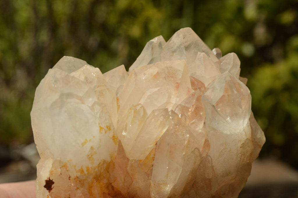 Natural Quartz Clusters With Green Epidote Coating/Inclusions x 12 From Boekenhouthoek, South Africa - TopRock