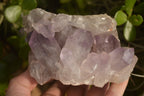 Natural Jacaranda Amethyst Clusters x 2 From Zambia - Toprock Gemstones and Minerals 