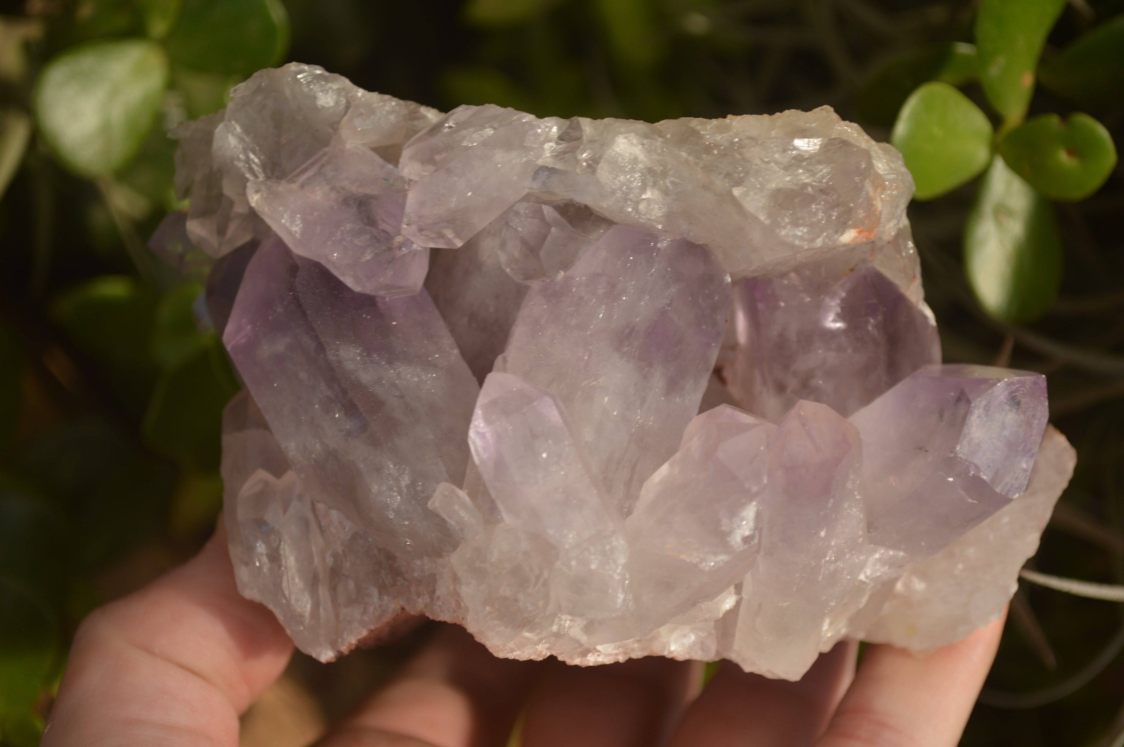 Natural Jacaranda Amethyst Clusters x 2 From Zambia - Toprock Gemstones and Minerals 