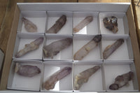 Natural Long Window Amethyst Quartz Crystals  x 12 From Chiredzi, Zimbabwe - Toprock Gemstones and Minerals 