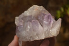 Natural Jacaranda Amethyst Clusters x 2 From Zambia - Toprock Gemstones and Minerals 
