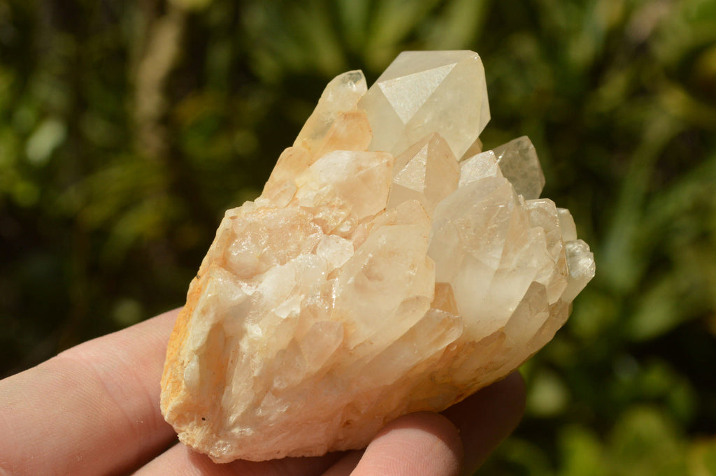 Natural Quartz Clusters With Green Epidote Coating/Inclusions x 12 From Boekenhouthoek, South Africa - TopRock