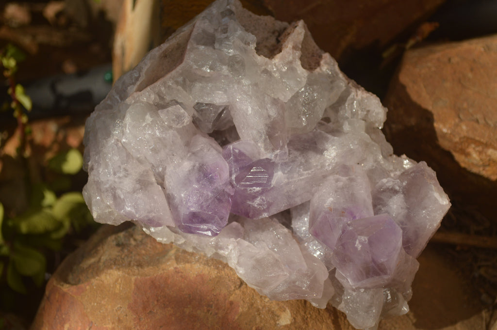 Natural Jacaranda Amethyst Clusters x 2 From Zambia - Toprock Gemstones and Minerals 