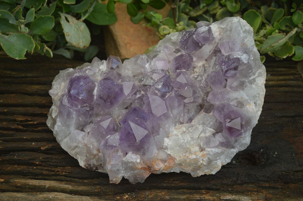 Natural Jacaranda Amethyst Cluster  x 1 From Zambia - Toprock Gemstones and Minerals 