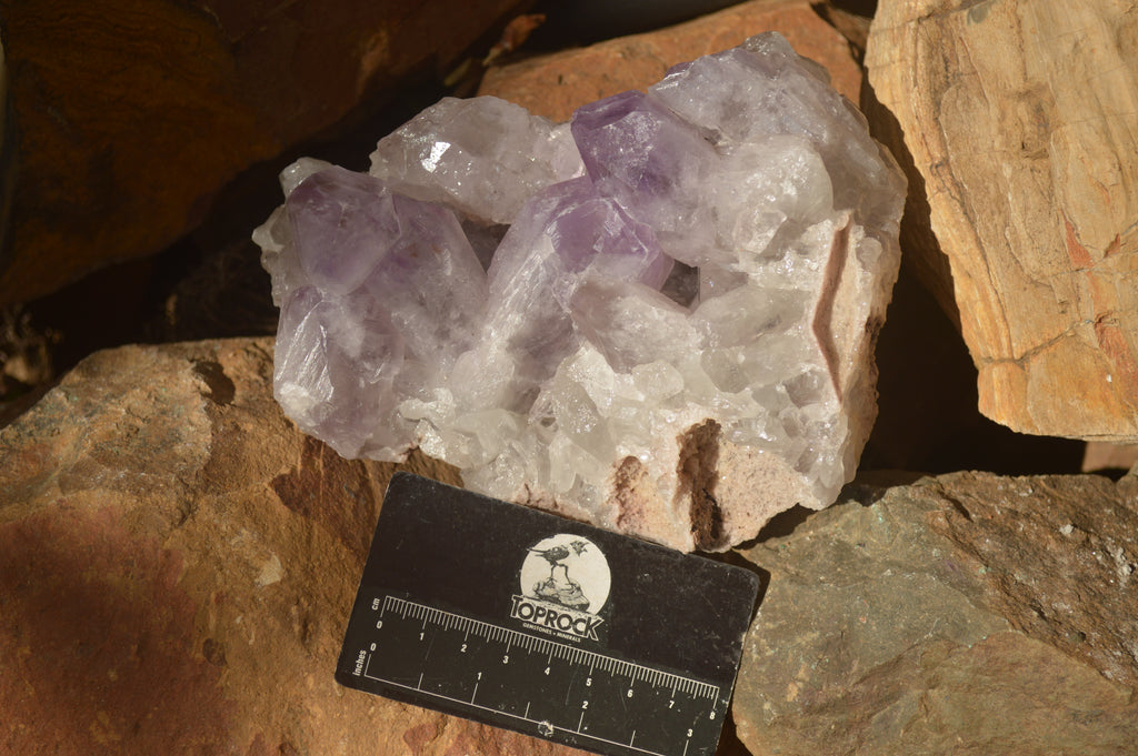 Natural Jacaranda Amethyst Clusters x 2 From Zambia - Toprock Gemstones and Minerals 